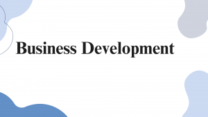 Accelerating Growth: Strategies for Business Development